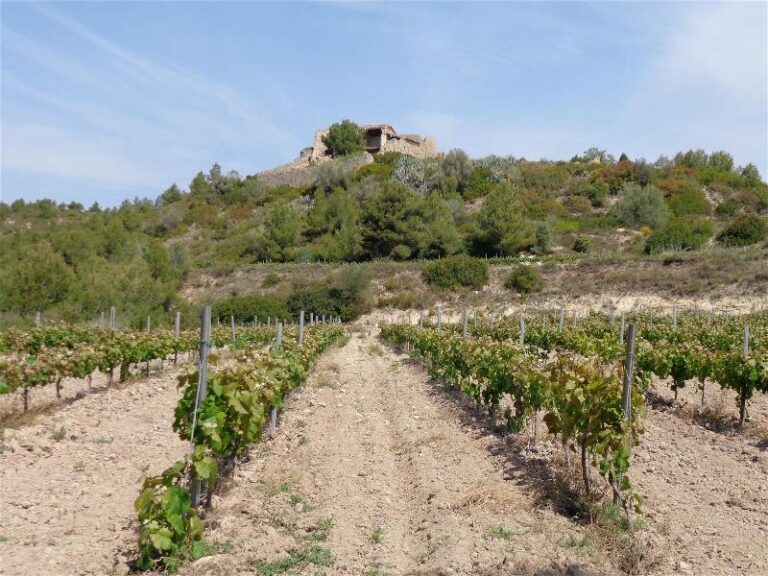 foix