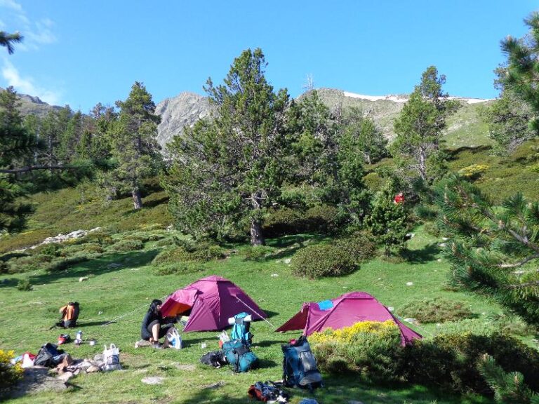 canigo 2014