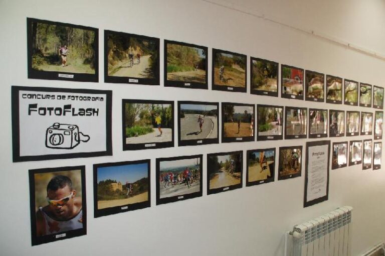 FotoFlash 2014