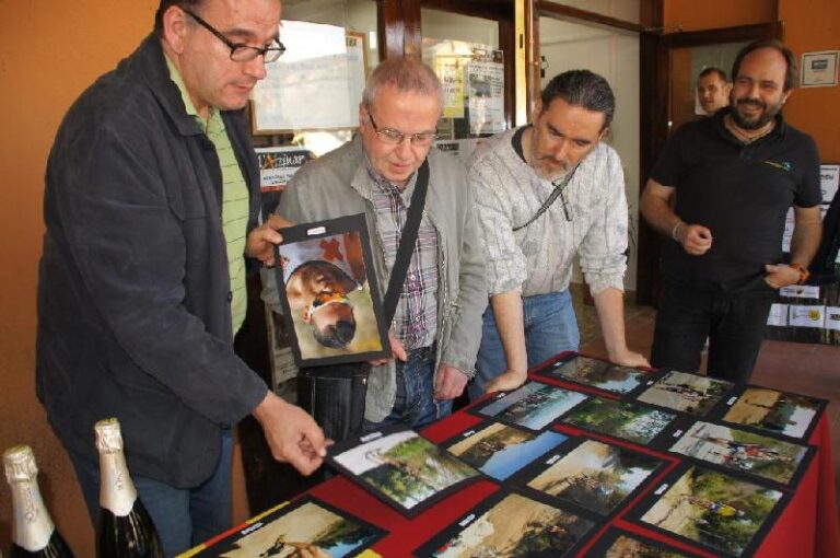 FotoFlash 2014