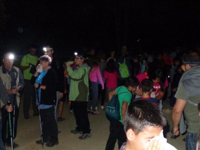 castanyada 2014