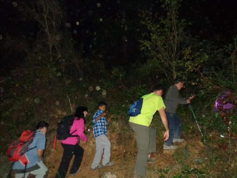 castanyada 2014