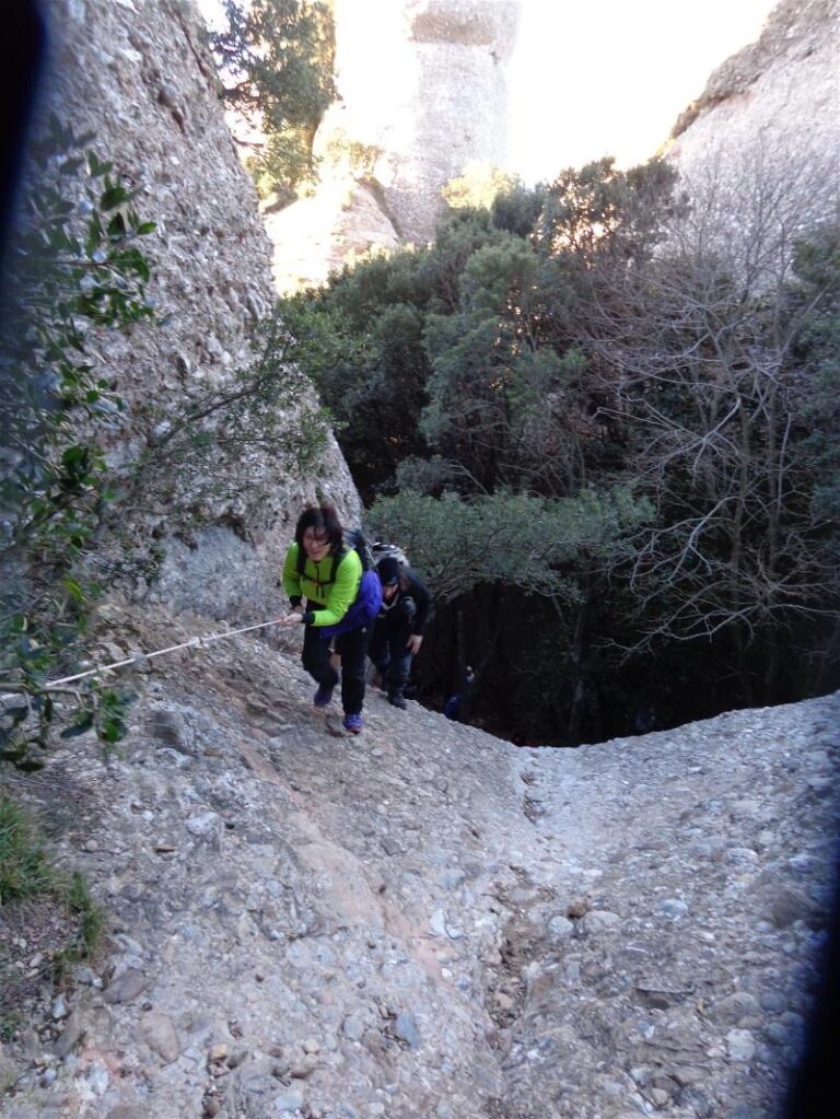 agulles i frares
