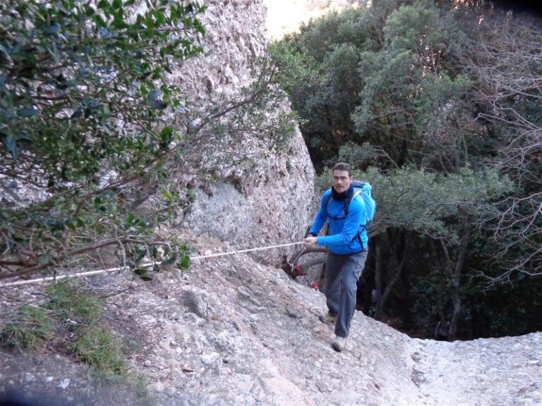 agulles i frares