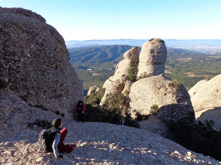agulles i frares