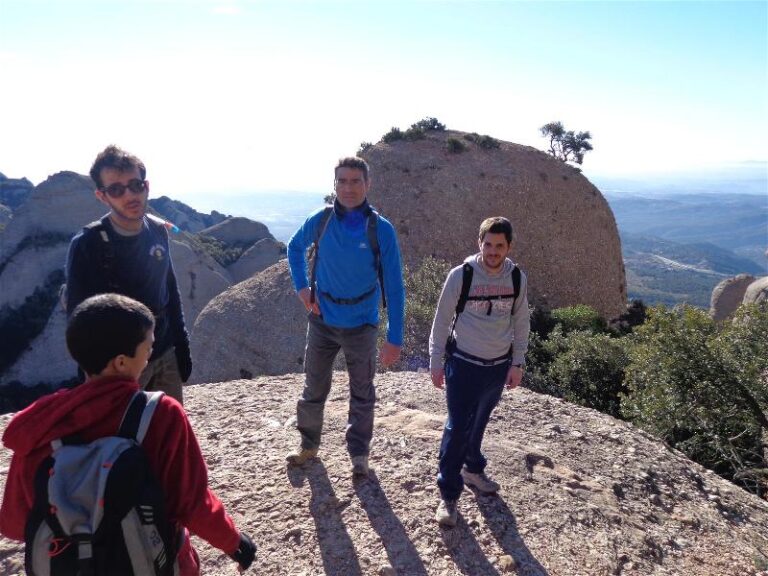 agulles i frares