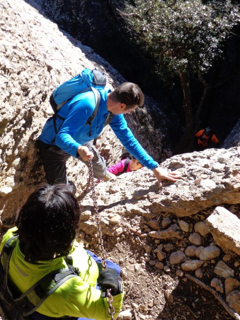 agulles i frares