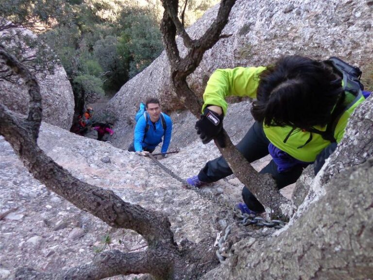 agulles i frares