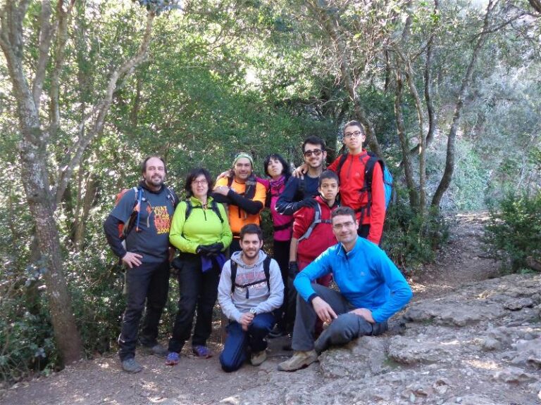 agulles i frares