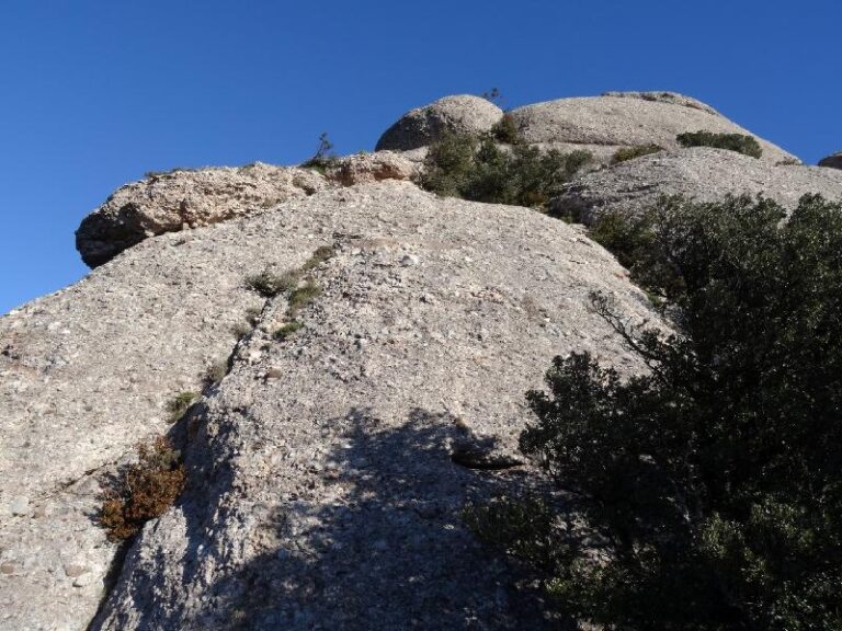 montserrat