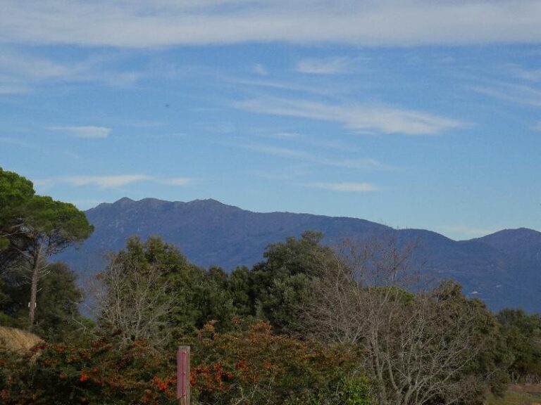 montnegre