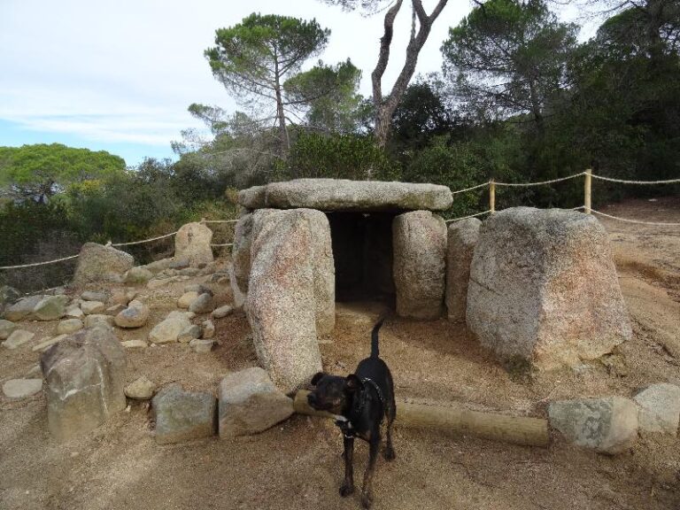montnegre