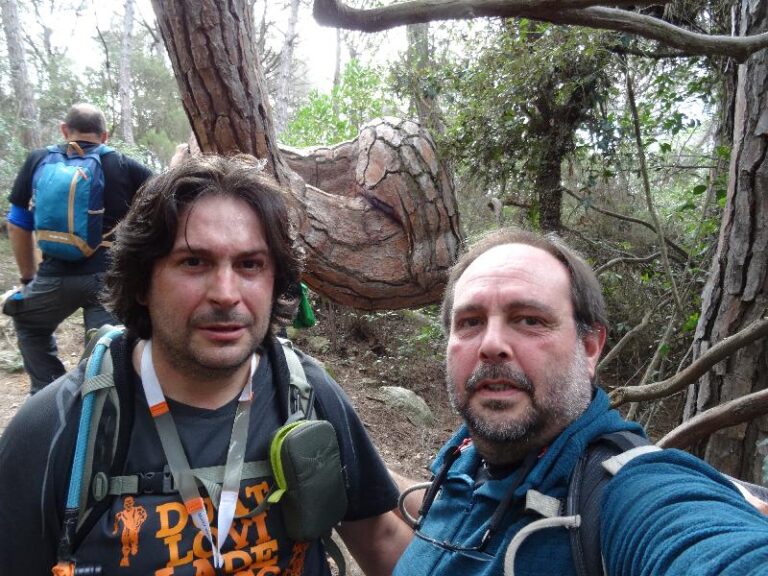 montnegre