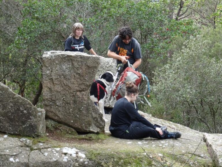 montnegre