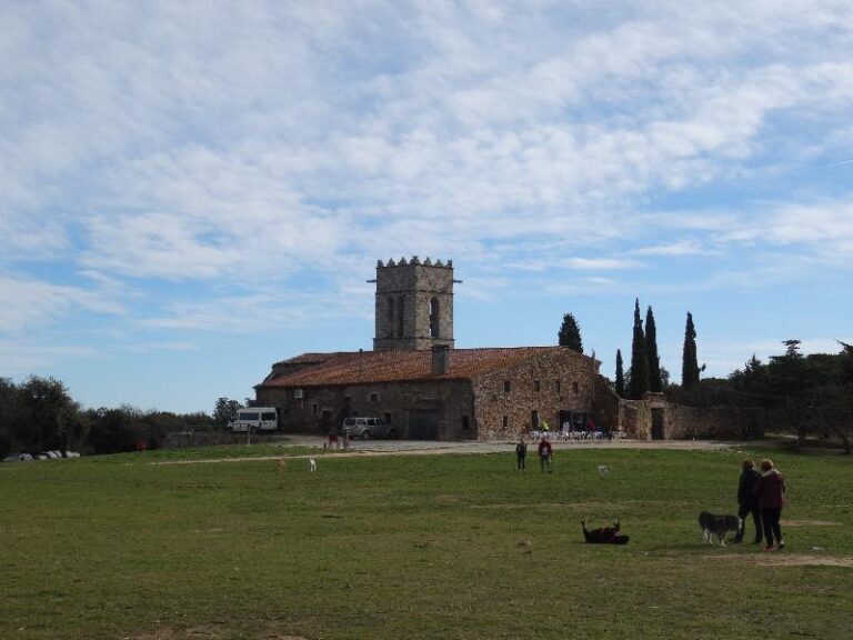 montnegre