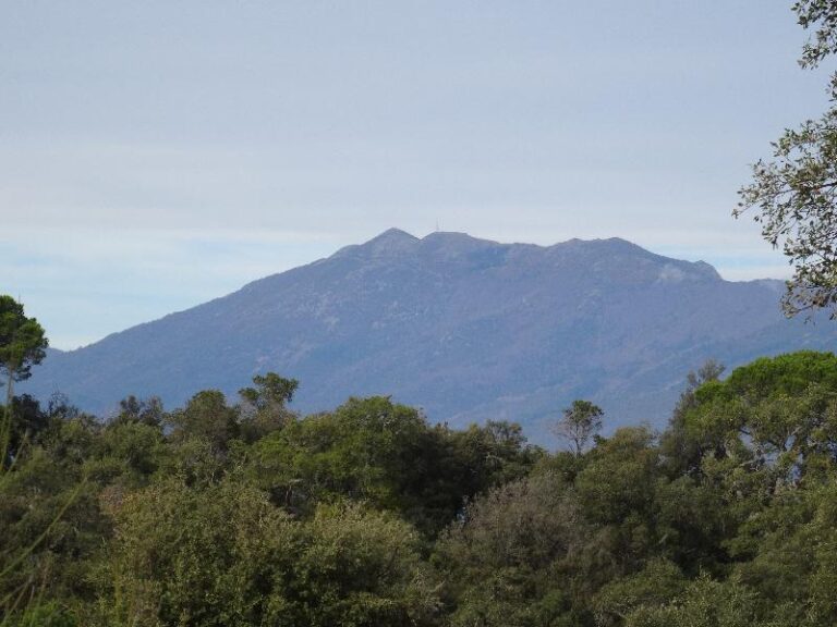 montnegre