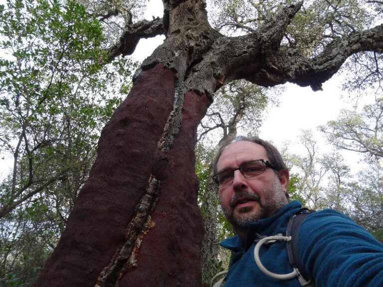 montnegre