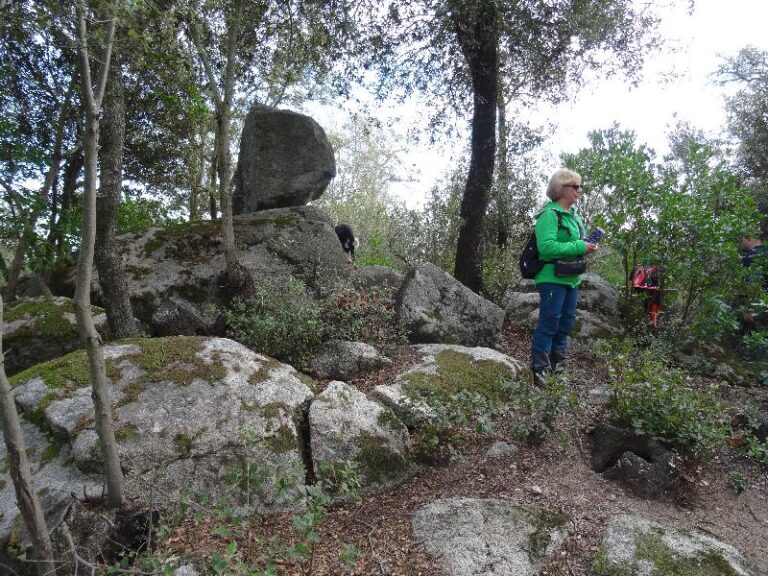montnegre