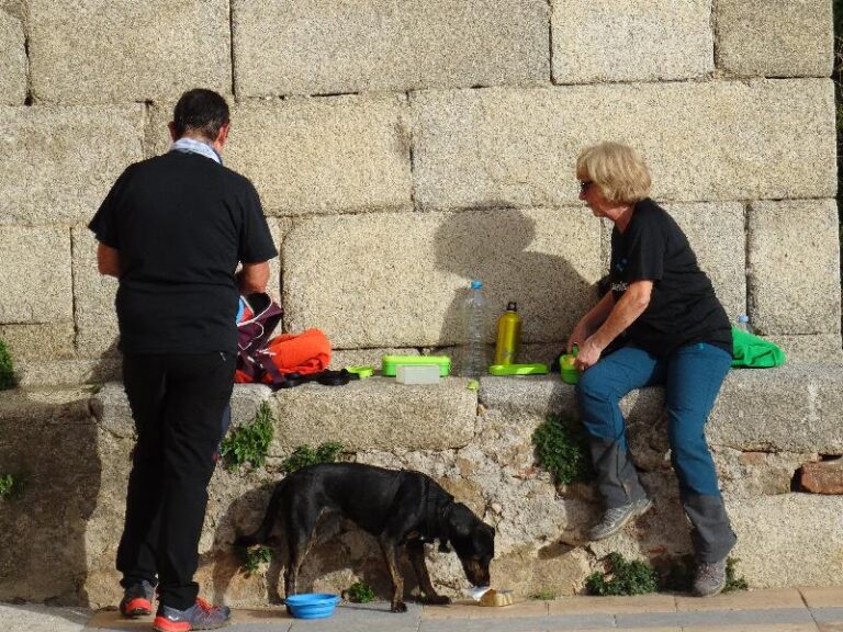montnegre