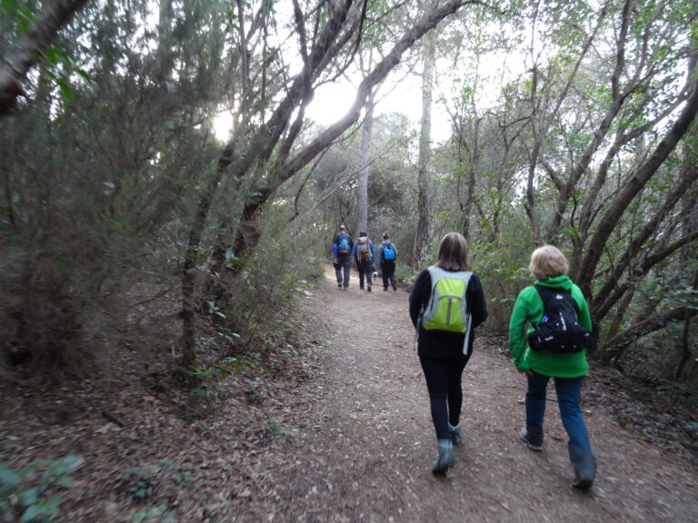 montnegre