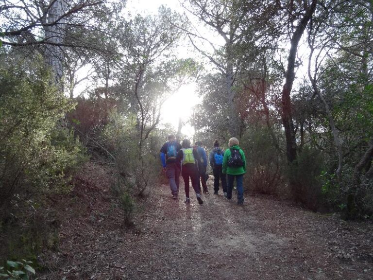 montnegre