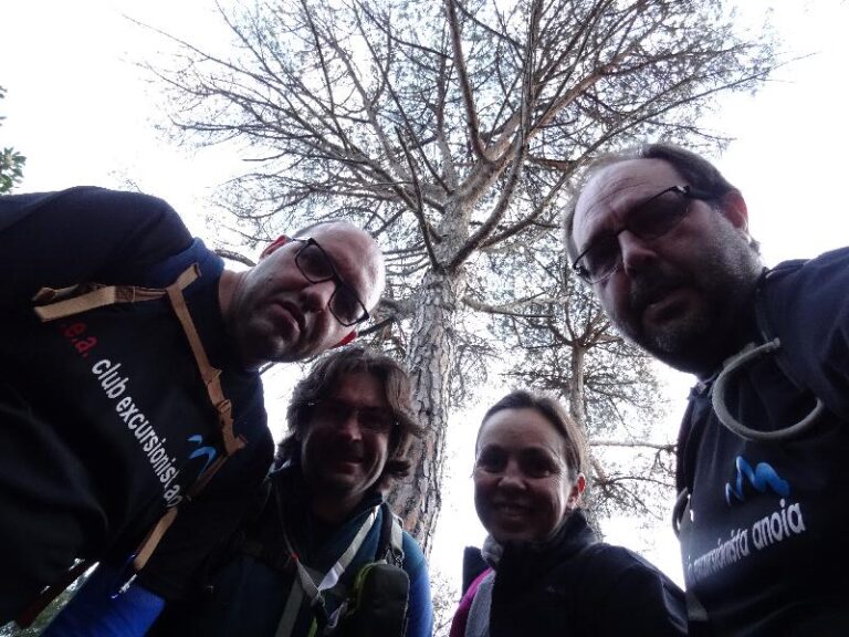 montnegre