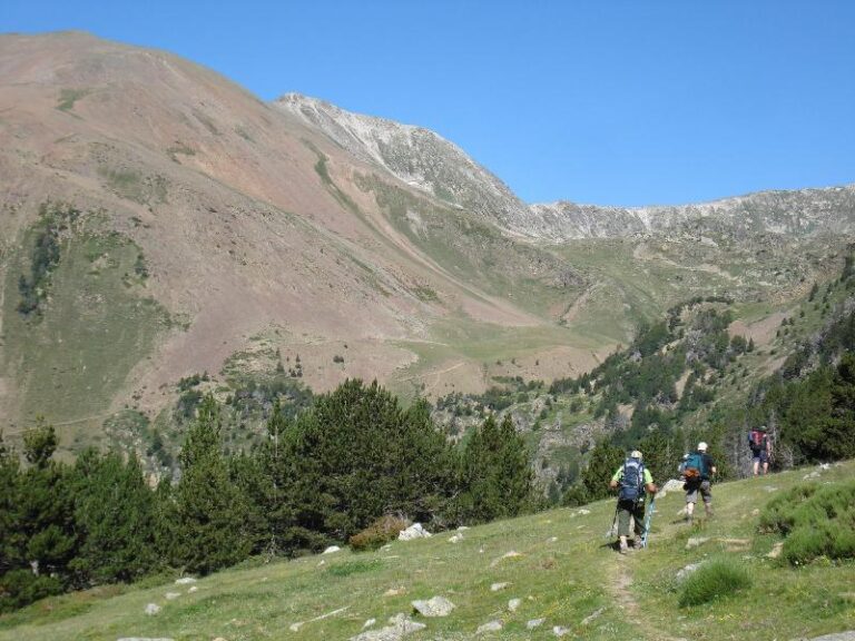 Bosc de Corniols