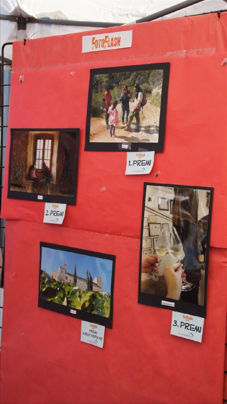 FotoFlash 2015