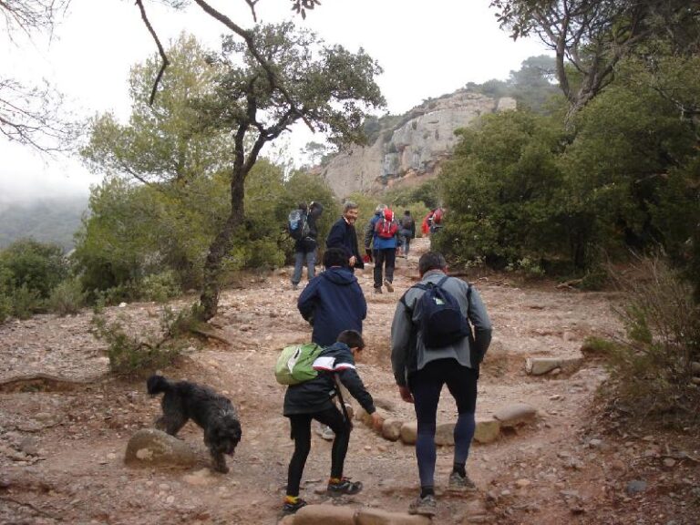 Cami dels Monjos