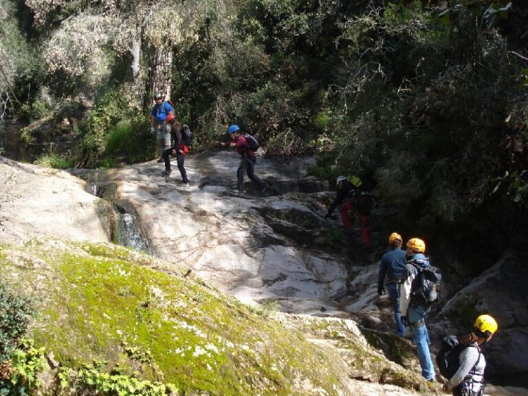 Torrent de Salenys