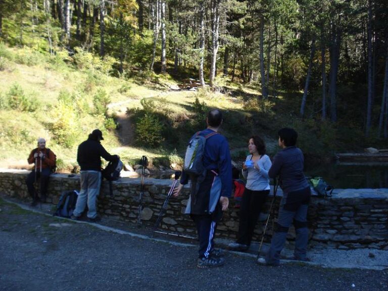Descansant