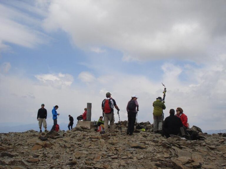 Al cim