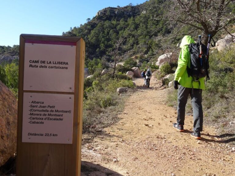 roca corbatera