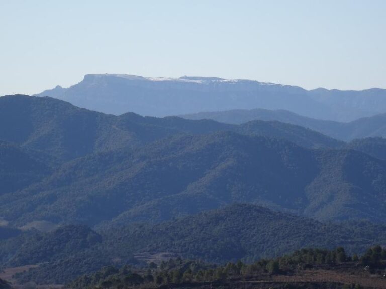 roca corbatera