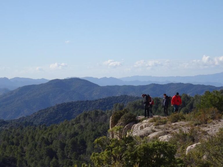 roca corbatera