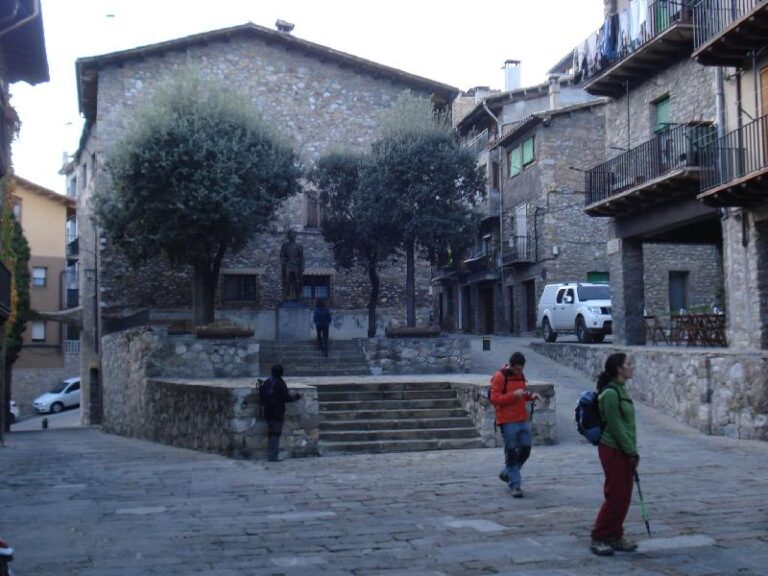 Visitant Baga