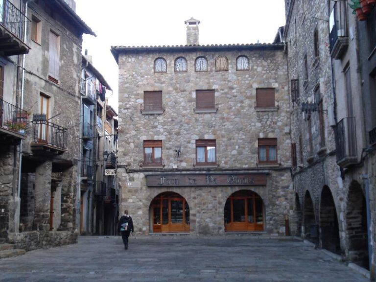 Visitant Baga
