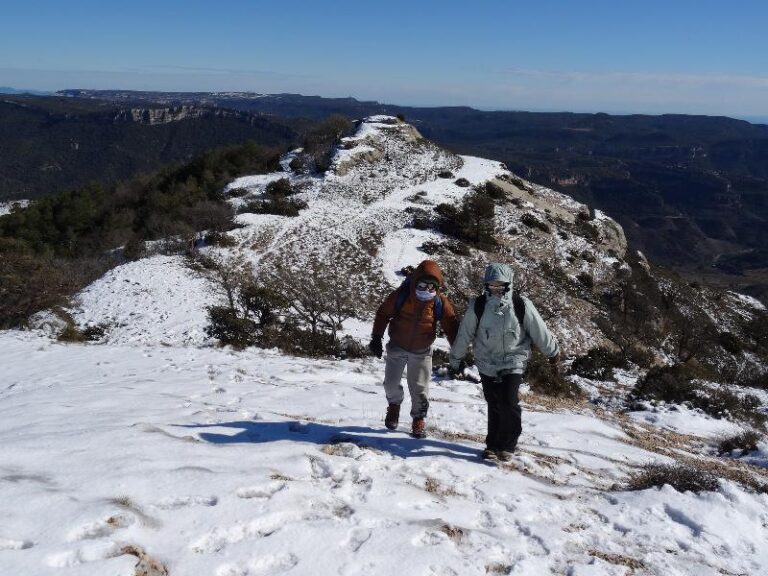 roca corbatera