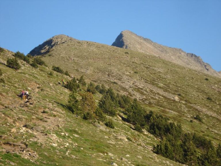 cami cap el cim