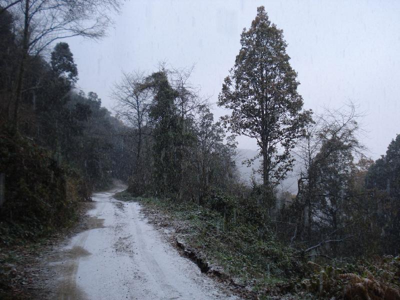 la neu