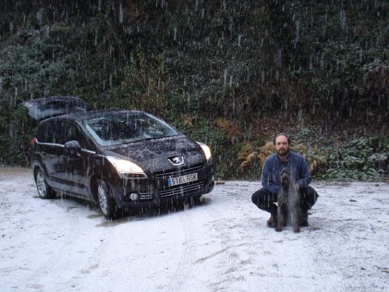 Foto sota la neu