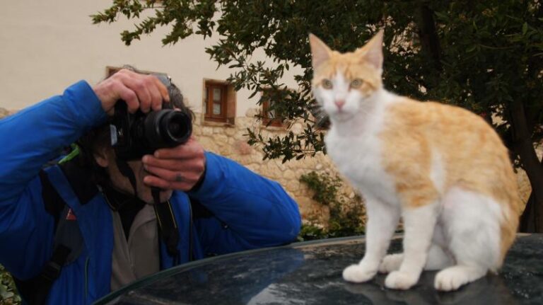 fotoflash