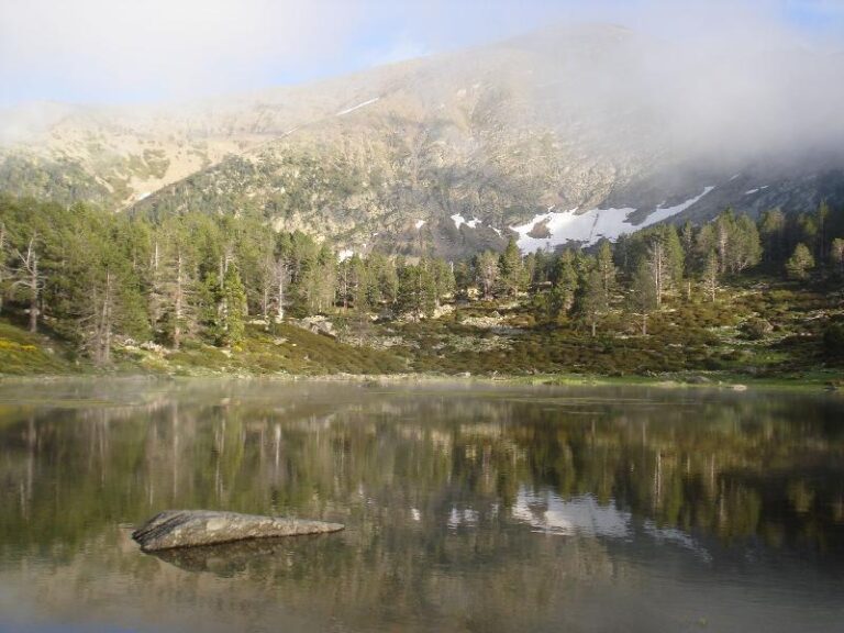 Llac