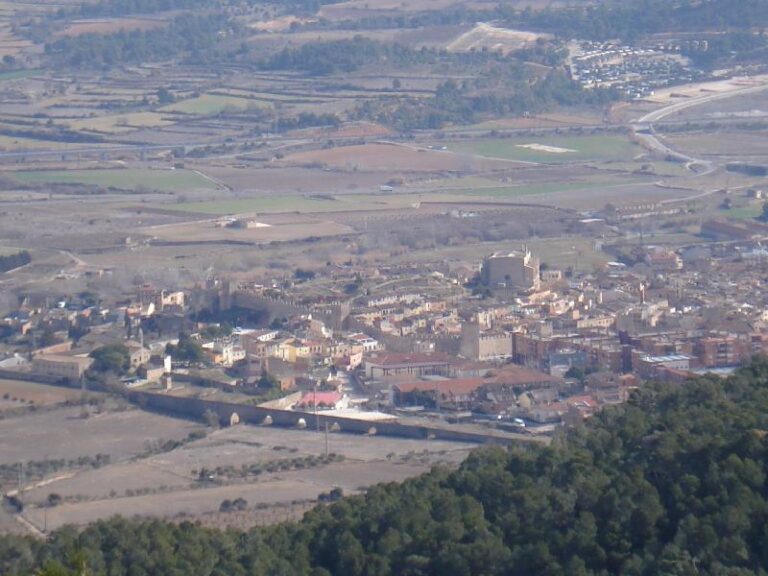 Vista de Montblanc