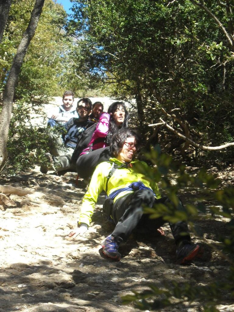 agulles i frares