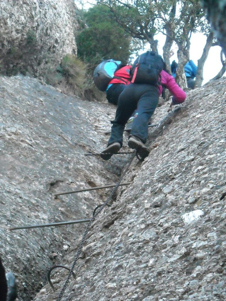 agulles i frares