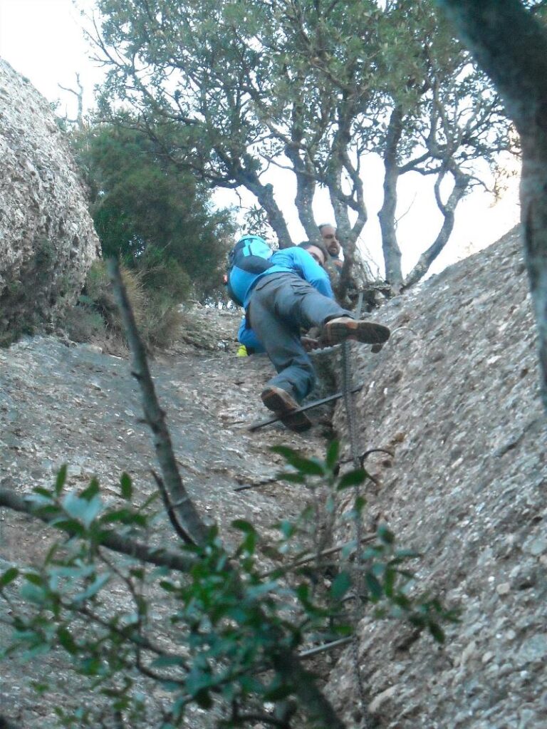 agulles i frares