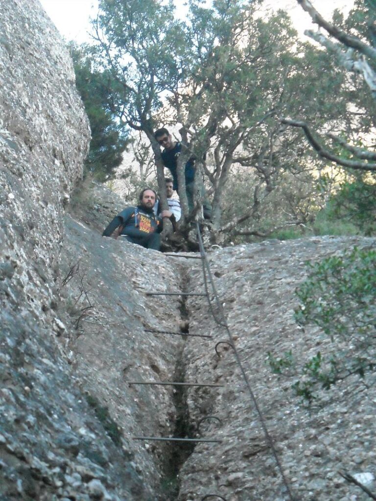 agulles i frares
