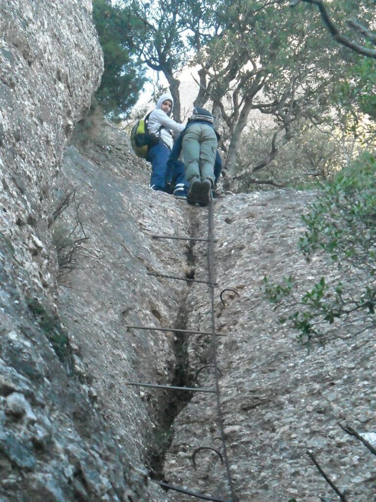 agulles i frares