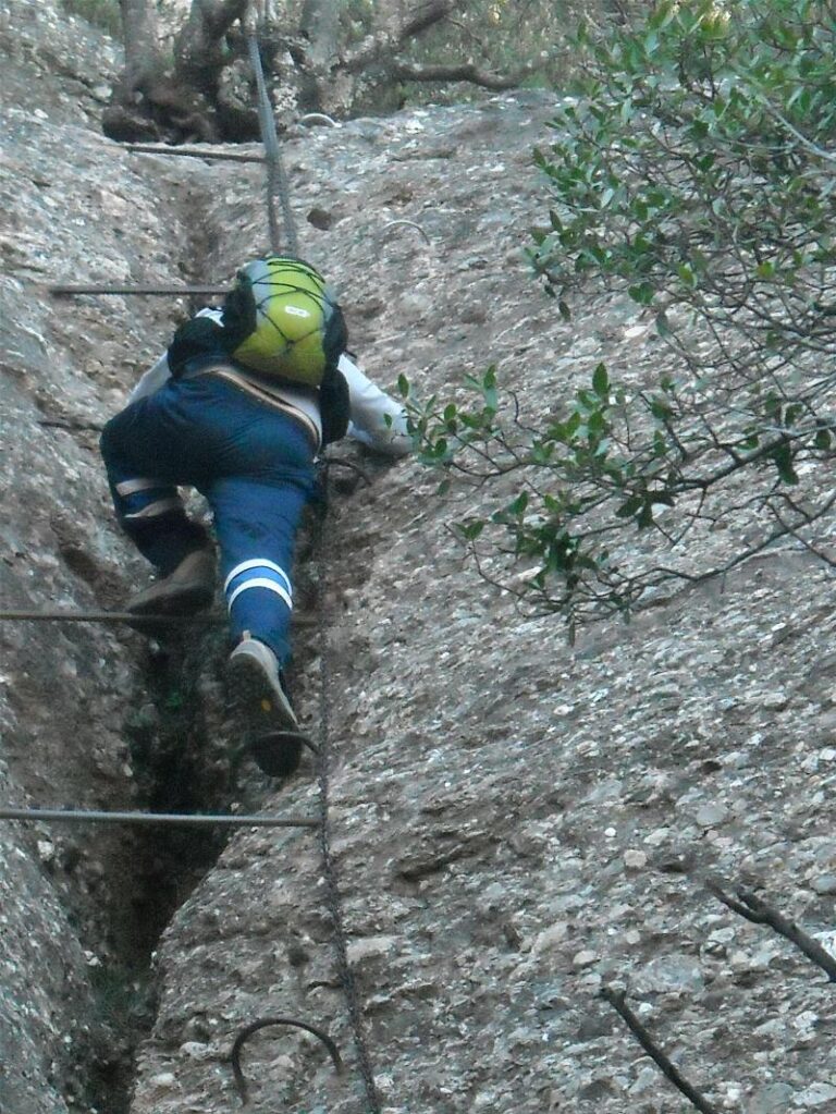 agulles i frares